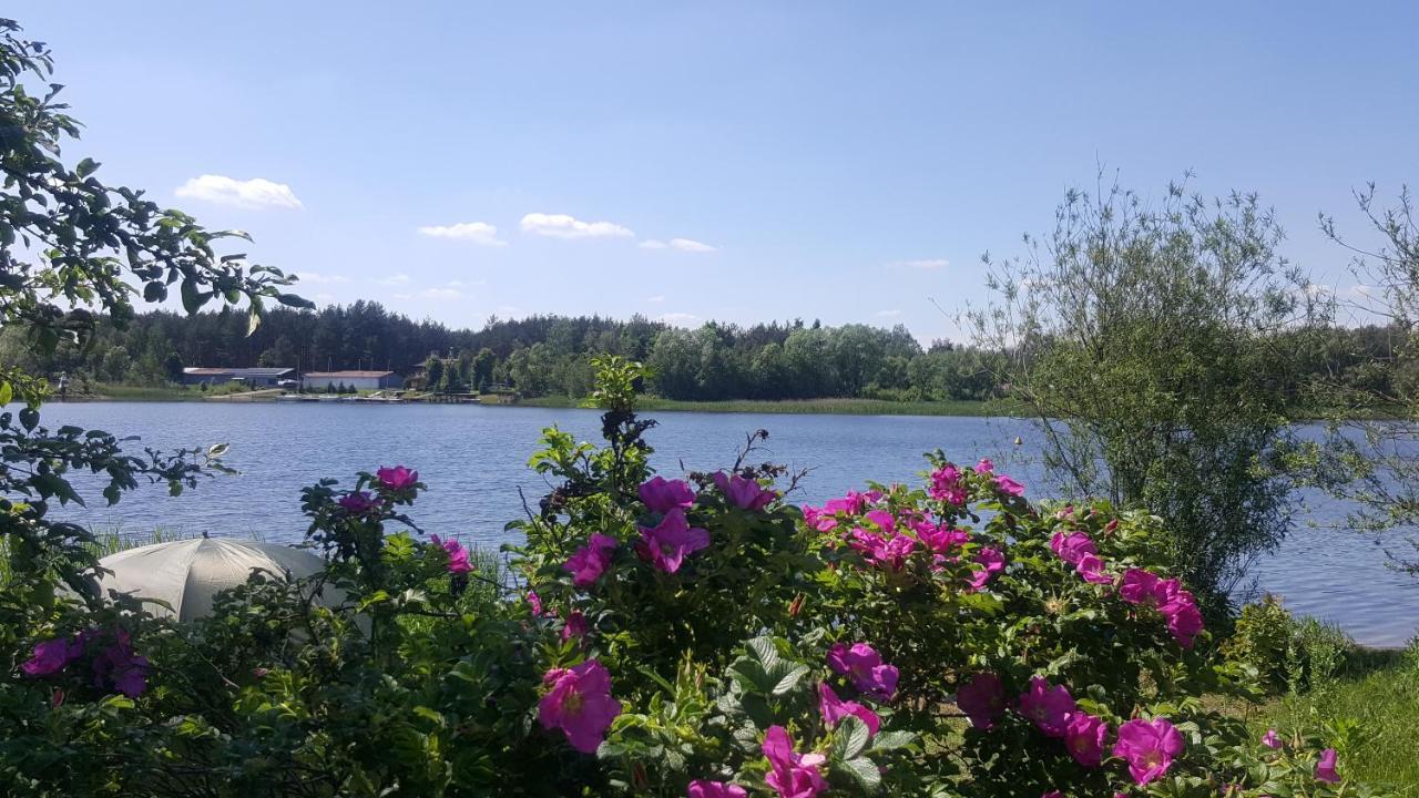 Lesna Radosc Jastrzab